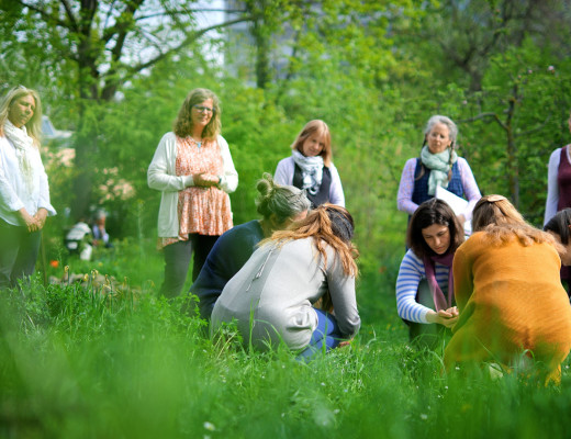 waldorferzieherseminar mannheim video