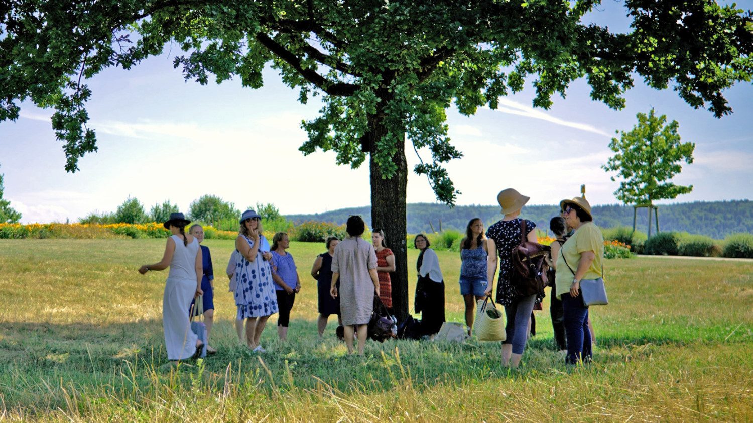 Waldorferzieher*in Überlingen 25 waldorferzieherseminar ueberlingen video