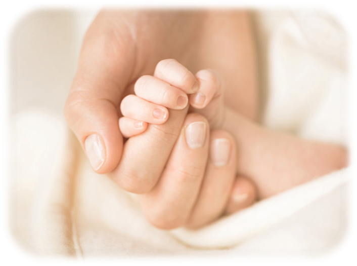 seminar waldorf mannheim fachtag