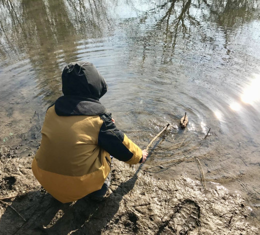 Foto Website Fachtag 520x470 1